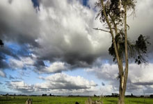 尤文图斯再度获胜，瓦伦西亚屡屡碰壁