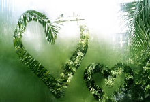 2023年CBA联赛扩军至20支球队，开启全新激烈竞争新纪元