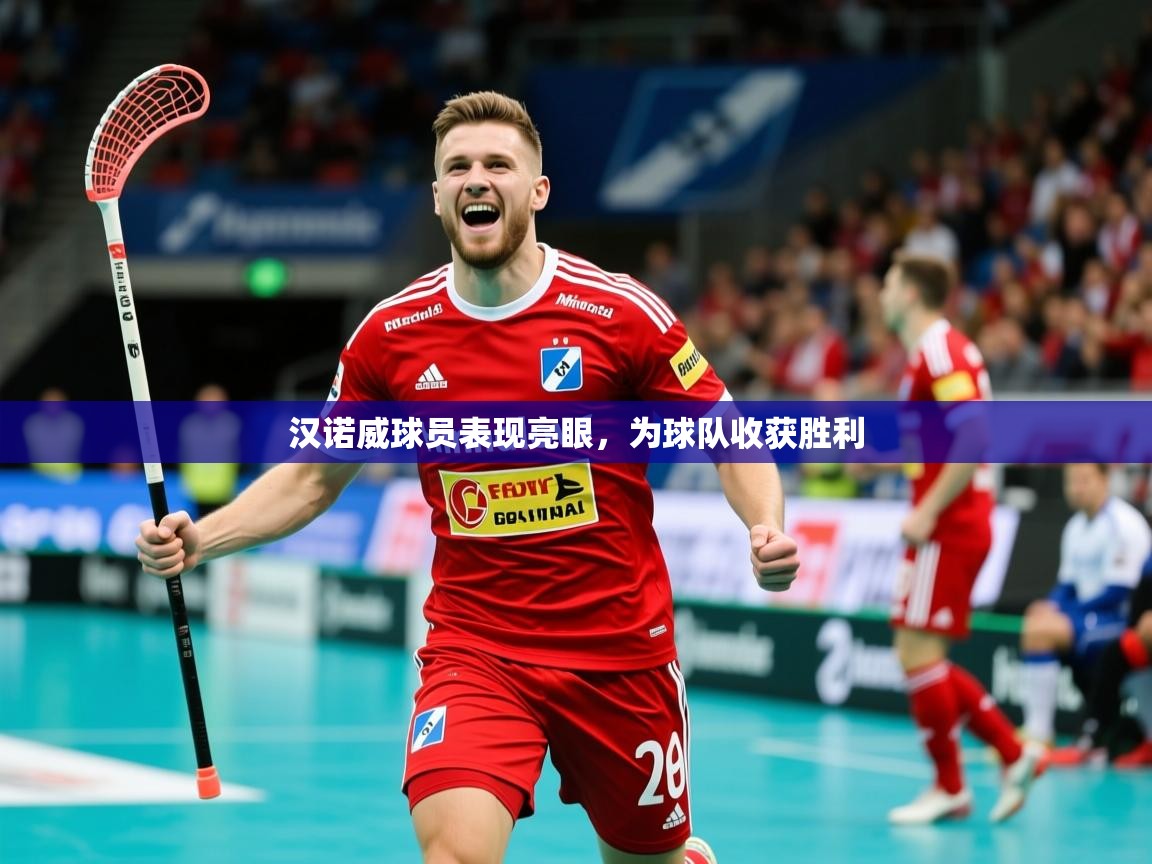 汉诺威球员表现亮眼，为球队收获胜利